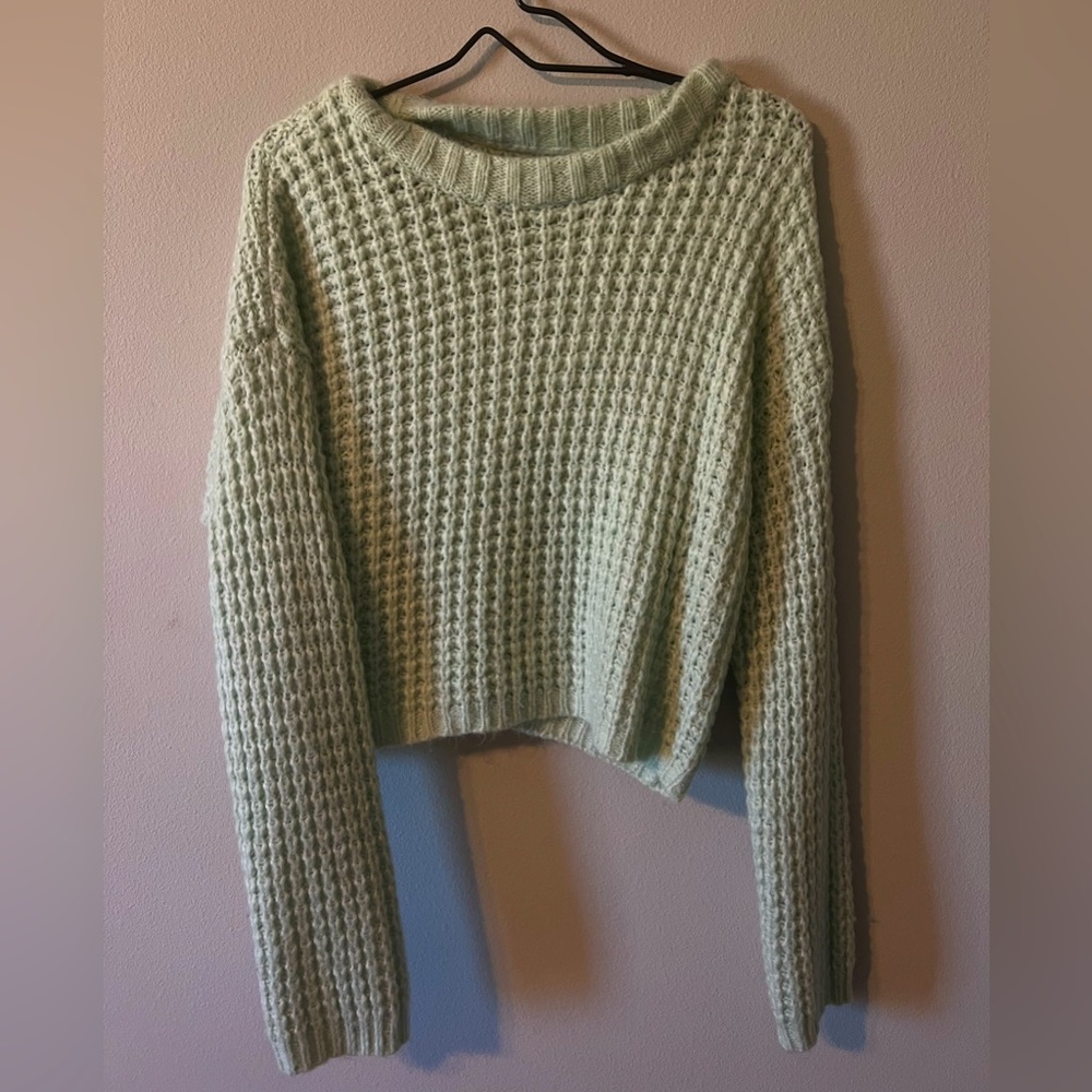 Wild fable green sweater